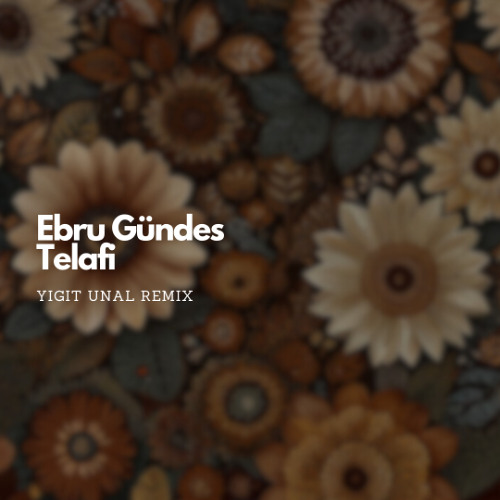 Ebru Gündeş - Telafi(Yigit Unal Remix)