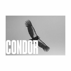CONDOR
