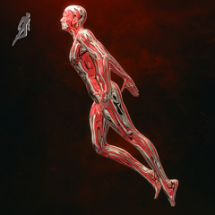 Flight