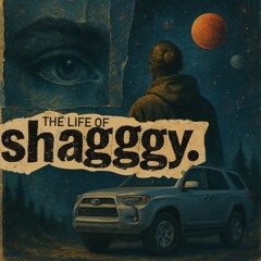 the life of shagggy.