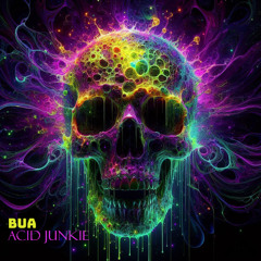Acid junkie