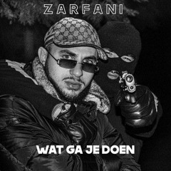 Zarfani - Wat ga je doen