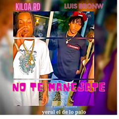 No Te Manejaste