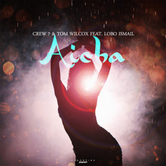 Crew 7 & Tom Wilcox feat. Lobo Ismail - Aicha (Club Edit)