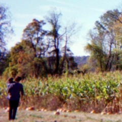 It (CASSETTE IN BIO)