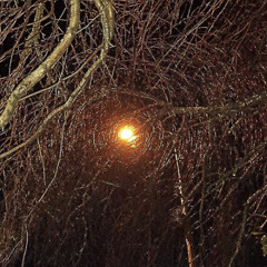 Samhain 2 (prod. rk)