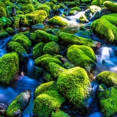 Relaxing Water Sounds For Sleep, Stress Relief, Focus | Mountain Stream White Noise (75 Minutes)