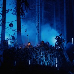 Darkshire #9 Audiovisual Forest (4 Hours Of Drum & Bass) - Ripple, N:Force, Meph, A-Cray, Shmidoo