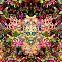 Mycelium Labyrinth