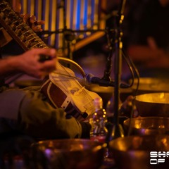 first light-sheer sofer