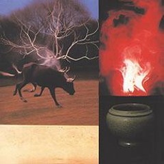 PREMIERE: Drim - Smelt [WHITEOWL005]