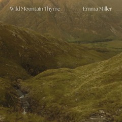 Wild Mountain Thyme