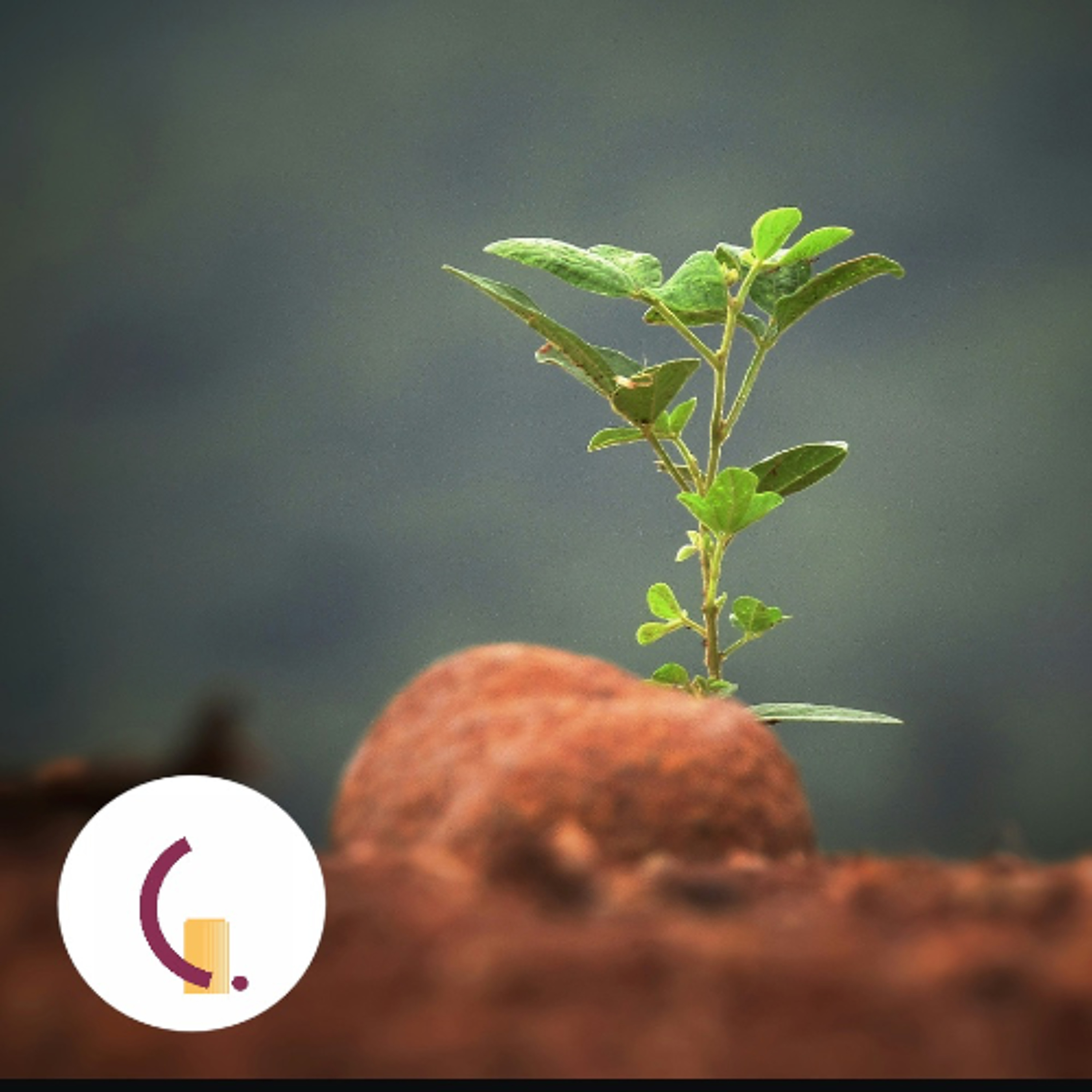 Predigt vom 04.01.2026