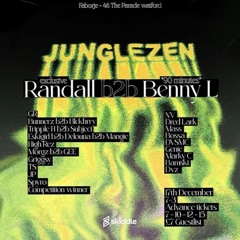 Jungle Zen DJ Comp Mix by ZK