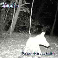 Nuisibles - Des sous-bois aux jardins (épisode 1)