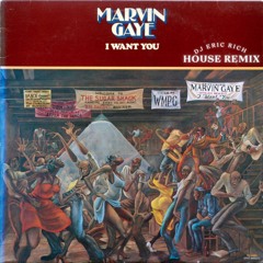 Marvin Gaye - I Want You (House Remix)