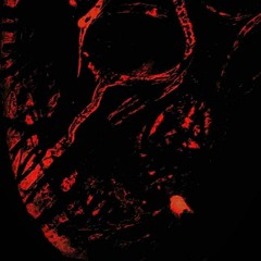 Midnight Storm- Afraid To Be Alive