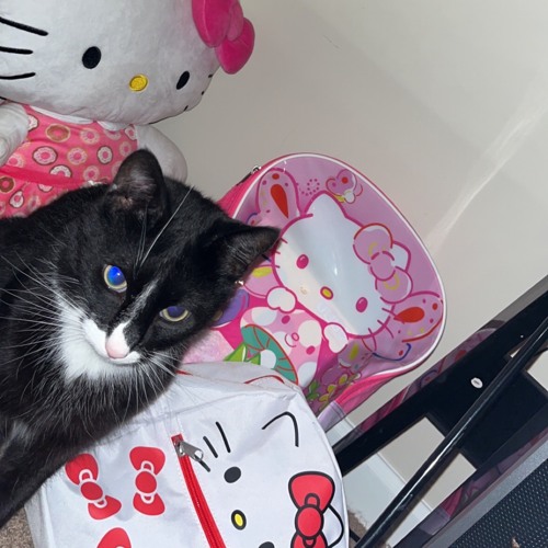 moon pt2 (eric godlow)