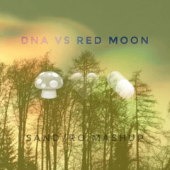 DNA (Space Motion & Narah) vs Red Moon (Genetik & Tzoltek) // sand/ro Mashup