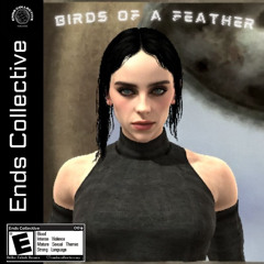 Billie Eilish - Birds Of A Feather (Ends Collective Remix)