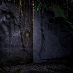 Four walls and a floor