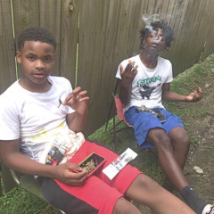 bate palma w/diognasty