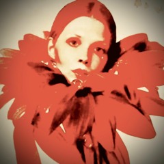 Window (Flowers In the Attic Remix)