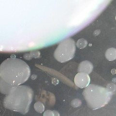 everything is meant to be