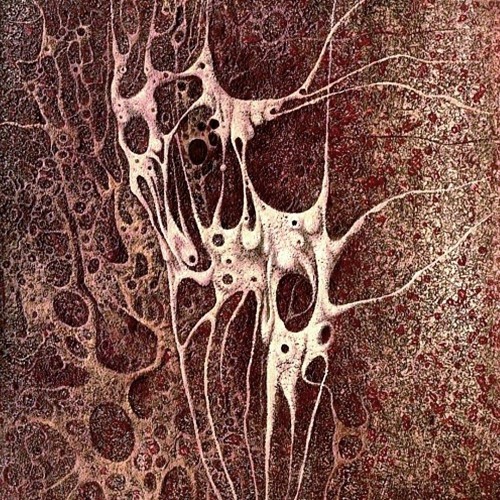 Korus & Nevraltik - Ectoplasm