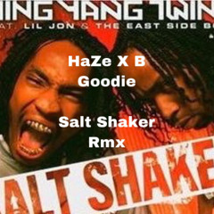 Salt Shaker. (HaZe X B Goodie)