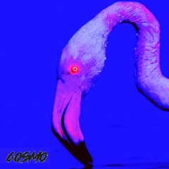 CoSmo - Phoenicopterus