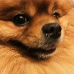 SLOW JAMS FROM OUTER SPACE VOL.2 🥵