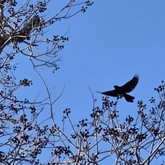 i,m going off meachy 2025 new remixx a. d777 DIS BE SUM HEAT '