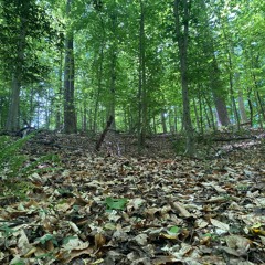 the outnumbering dead