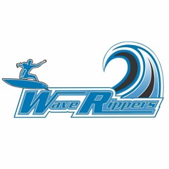 Hot Wheels Highway 35 - Wave Rippers Theme