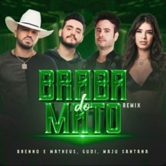 Brenno & Matheus - Braba Do Mato (GUDI & Maju Santana Remix)