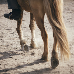 I Wish I Gave You More Time Because I Love You