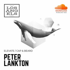 Peter Lankton - Los Angels podcast 003 (White Color Only)
