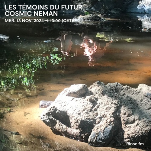 Les Témoins du Futur / Cosmic Neman - 13 Novembre 2024