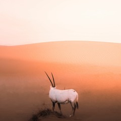 Çıkmaz Sokaklar(prod. vaegud)