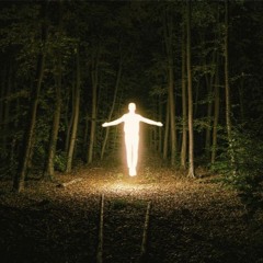 traumwelten - miggi jzs (02/2021)