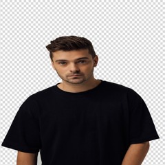 if martin garrix had made trap music