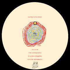 Feel the Acid - Mateo Parodi (Original Mix)