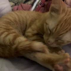 nerd face emoji @luxkk