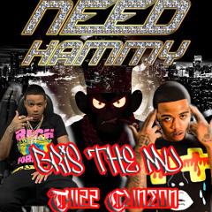 Bris- Need Hammy (Thizz Clinton Rework)