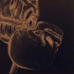 everywhereandnowhereatonce.wav