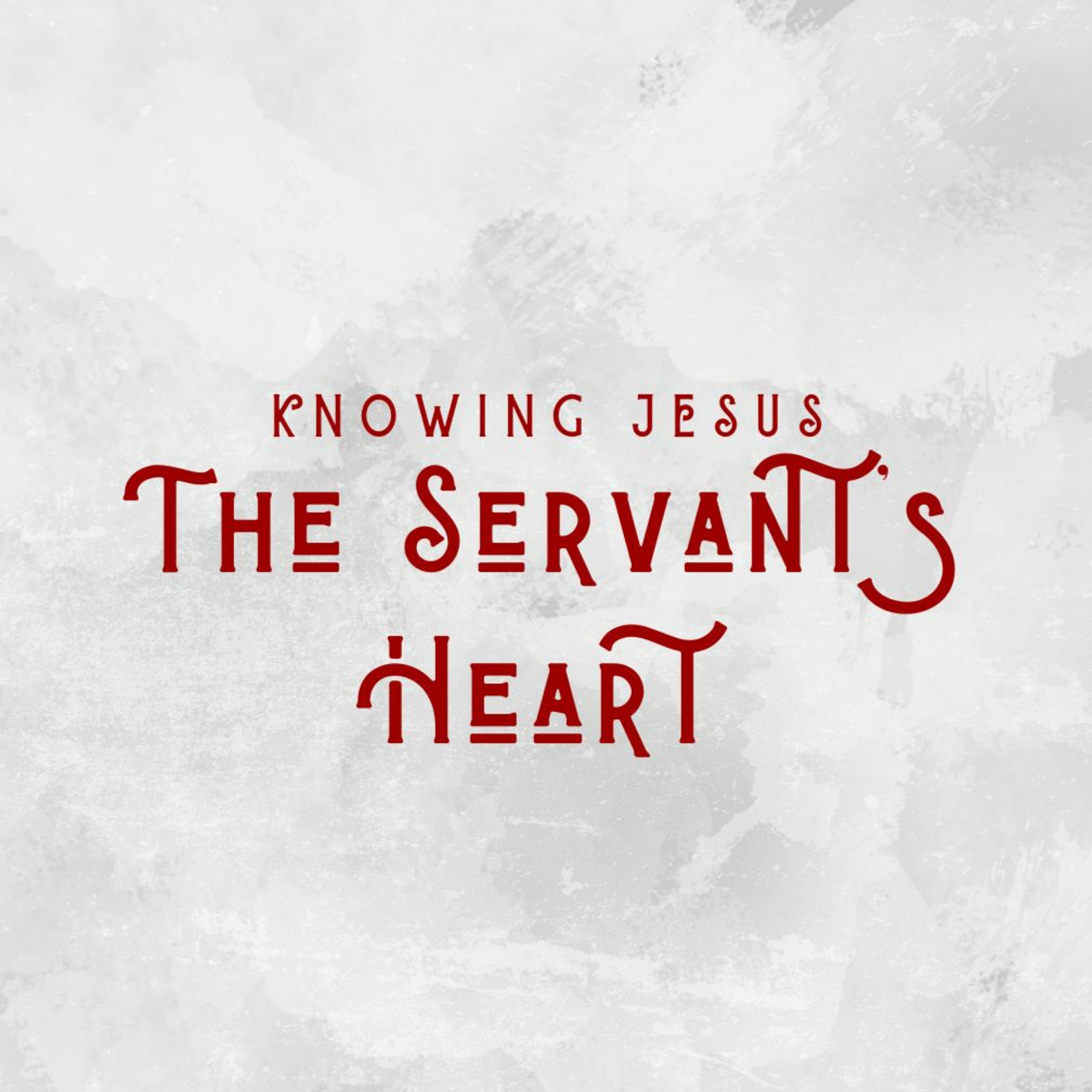 The Servant’s Heart - David T episode artwork