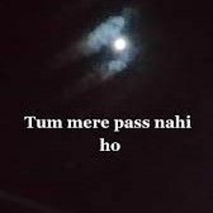 Tum Meray Paas Nahi [ Tribute to NFAK ] 2022 Remix