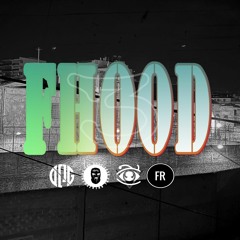 FHOOD 3
