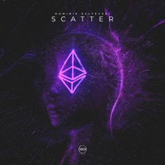 Dominik Saltevski - Scatter (Original Mix)